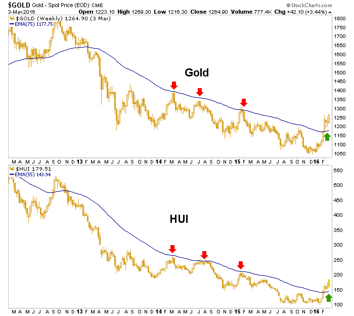 gold and hui